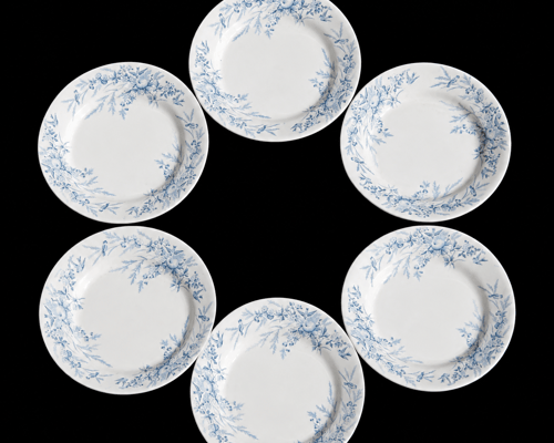 Assiette plate en faience de creil et montereau modele linotte bleu x6 terre de fer 2