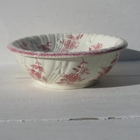 Img 2595 cropped